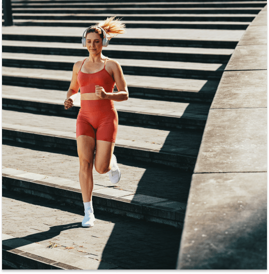 Основные виды