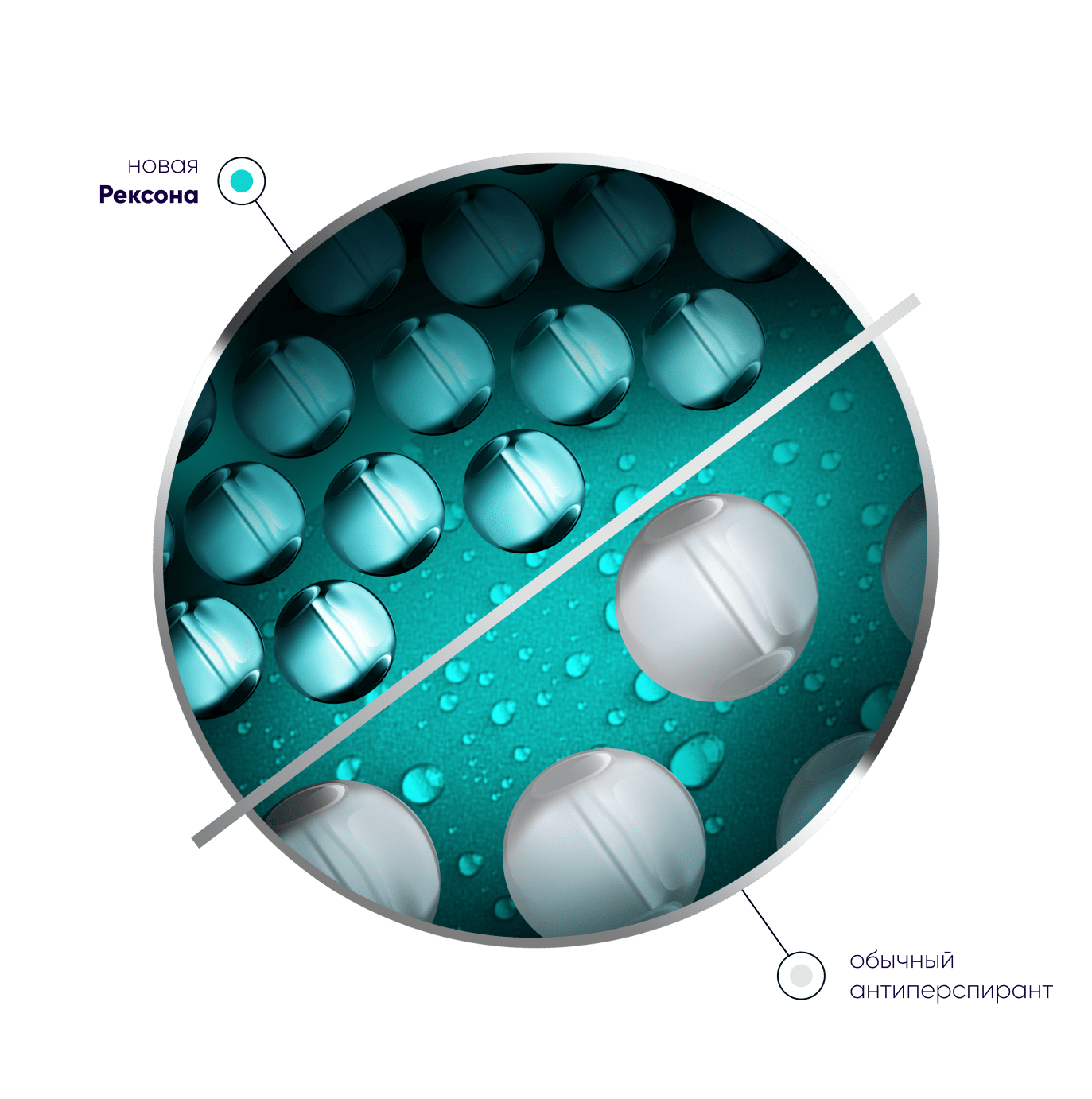 ИННОВАЦИОННАЯ МИКРОТЕХНОЛОГИЯ РЕКСОНА